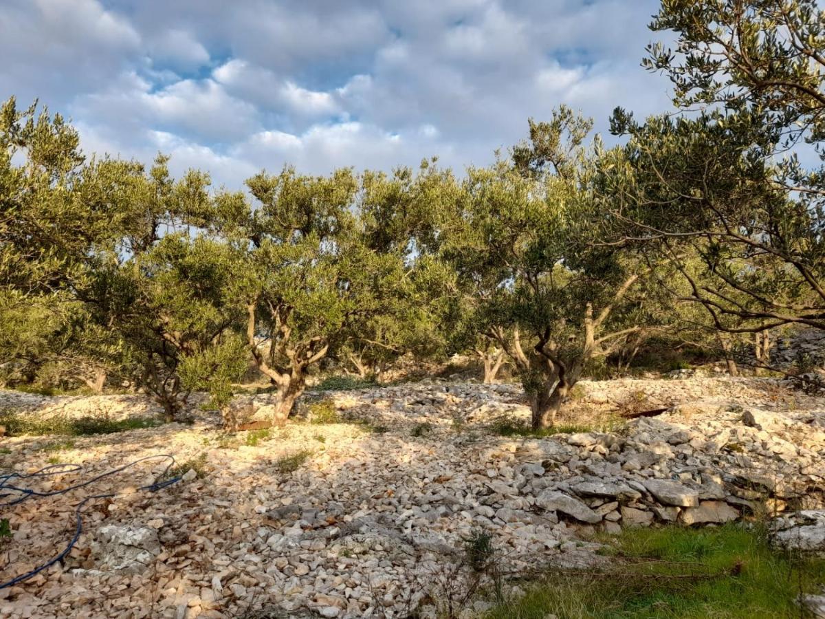 Apartmani Rokic سيغيت فغانييتْسا المظهر الخارجي الصورة